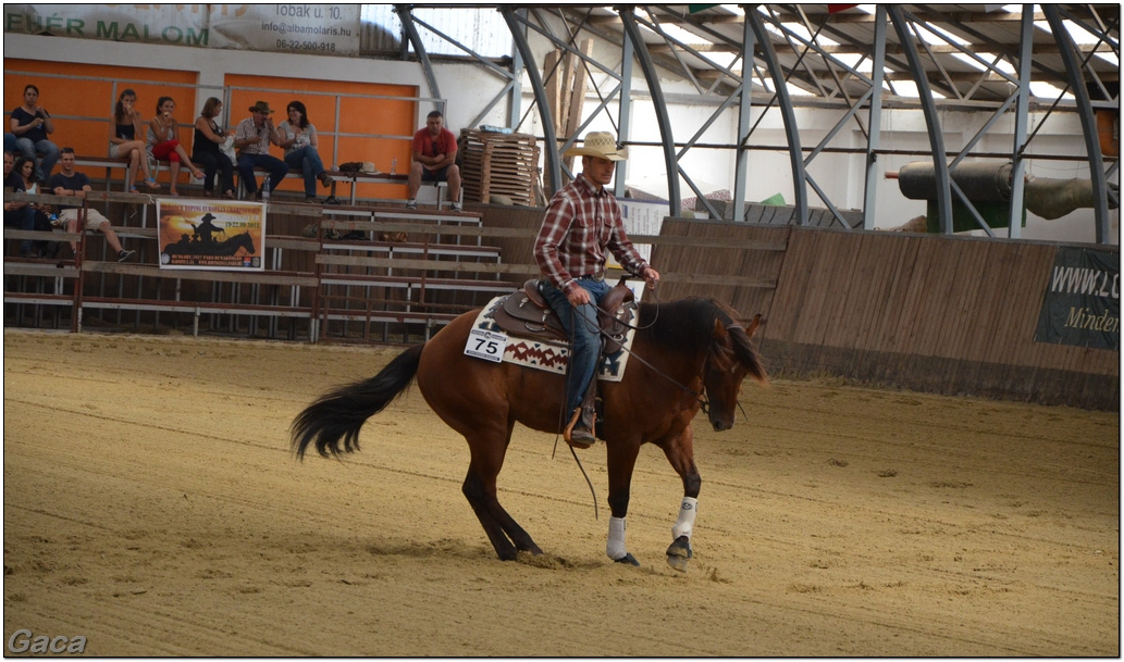 westernlovasversenykunosgaca201300146