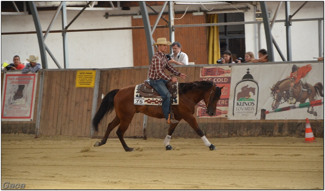 westernlovasversenykunosgaca201300154