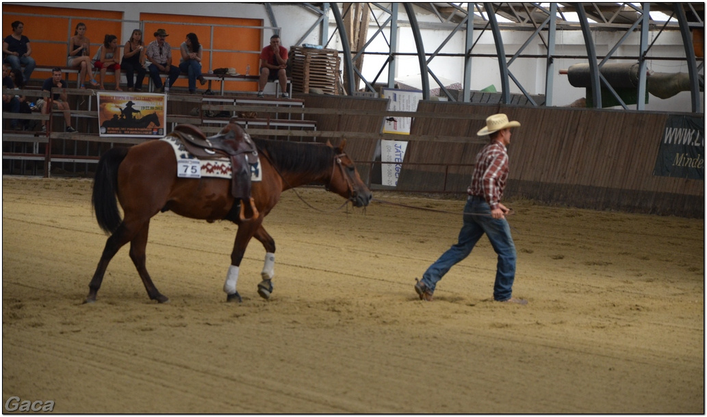 westernlovasversenykunosgaca201300172