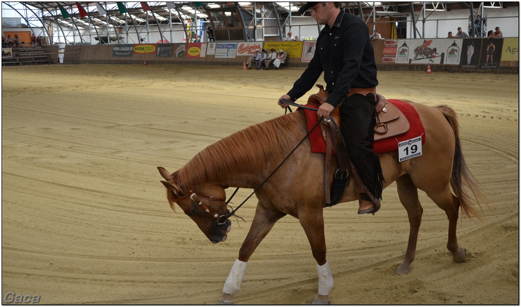 westernlovasversenykunosgaca201300224