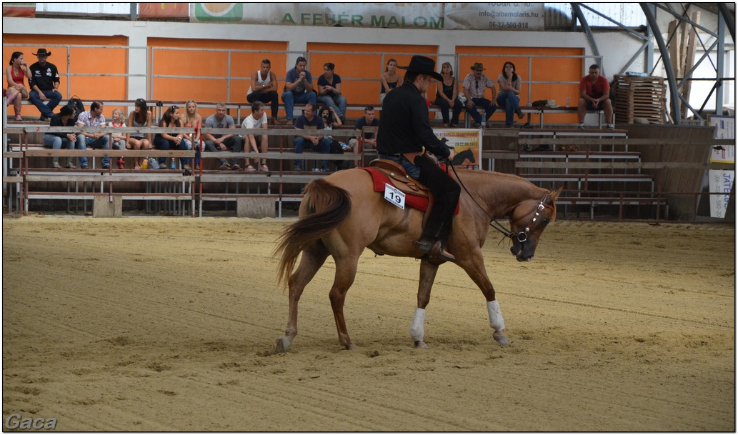 westernlovasversenykunosgaca201300225