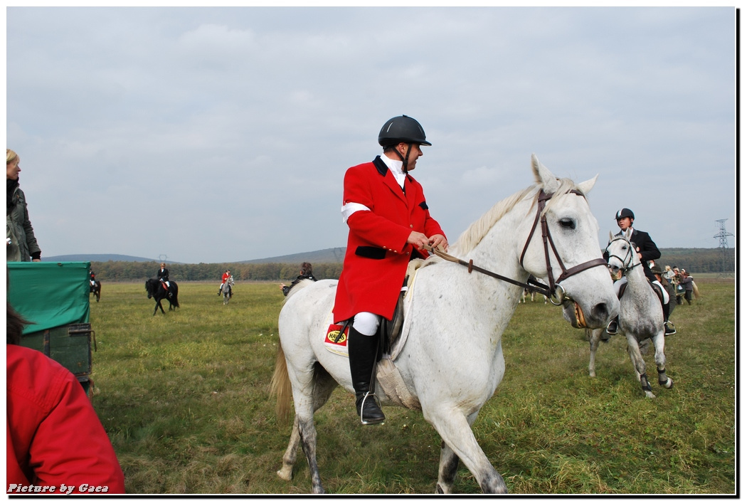 vadaszlovigaca201000108