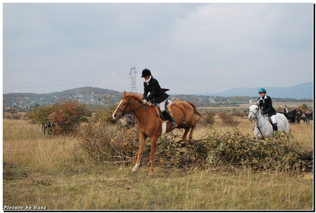 vadaszlovigaca201000168