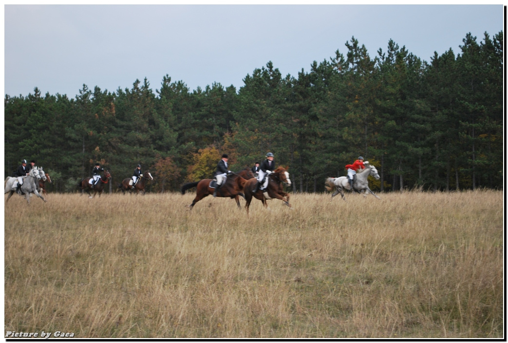 vadaszlovigaca201000202