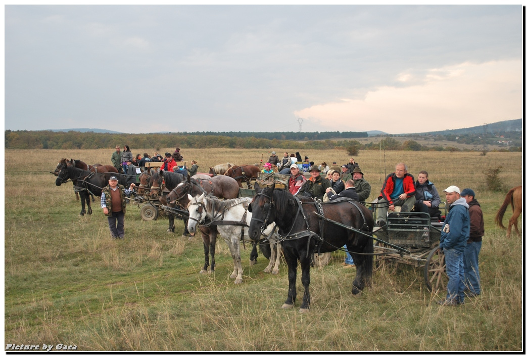 vadaszlovigaca201000216