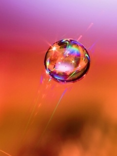 Water Droplet