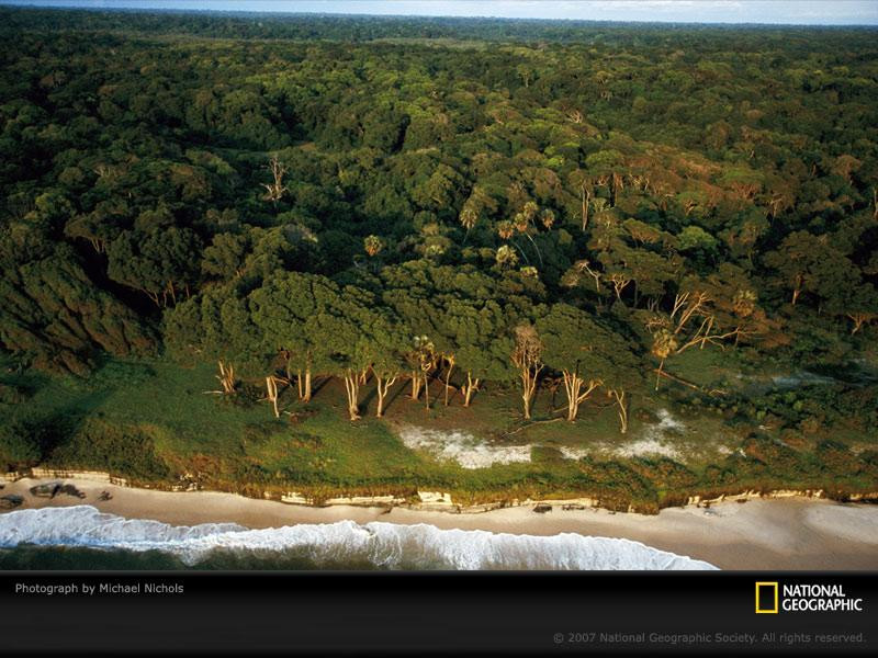 loango-beach-aerial-734615-sw (Medium)