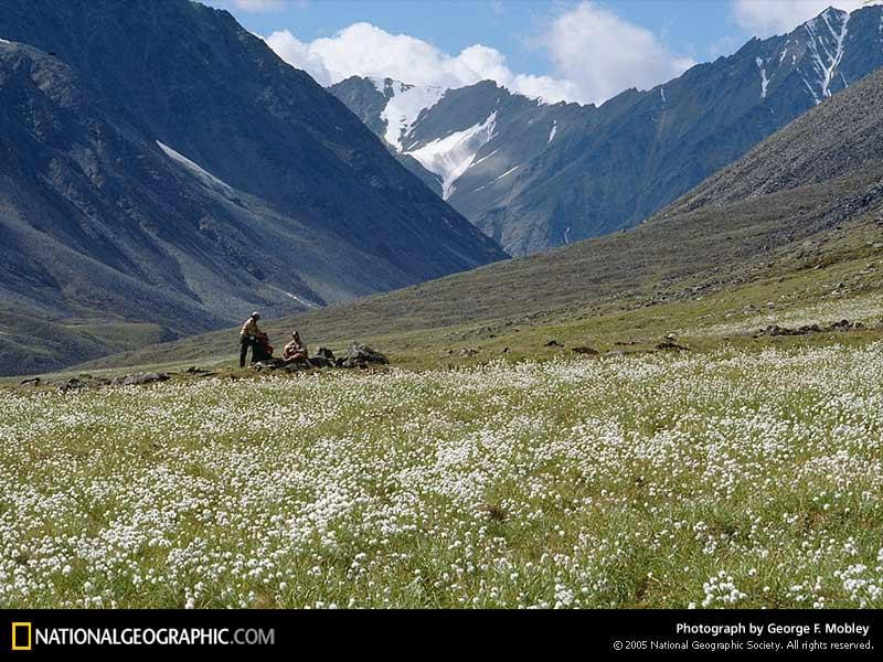 okpilak-valley-71496-sw (Medium)