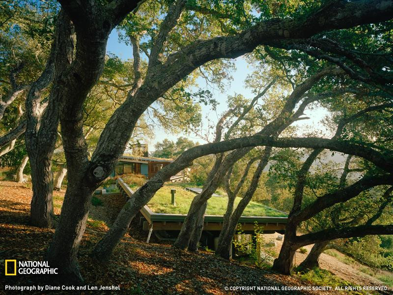 santa-lucia-green-roof-1212848-090609-sw (Medium)