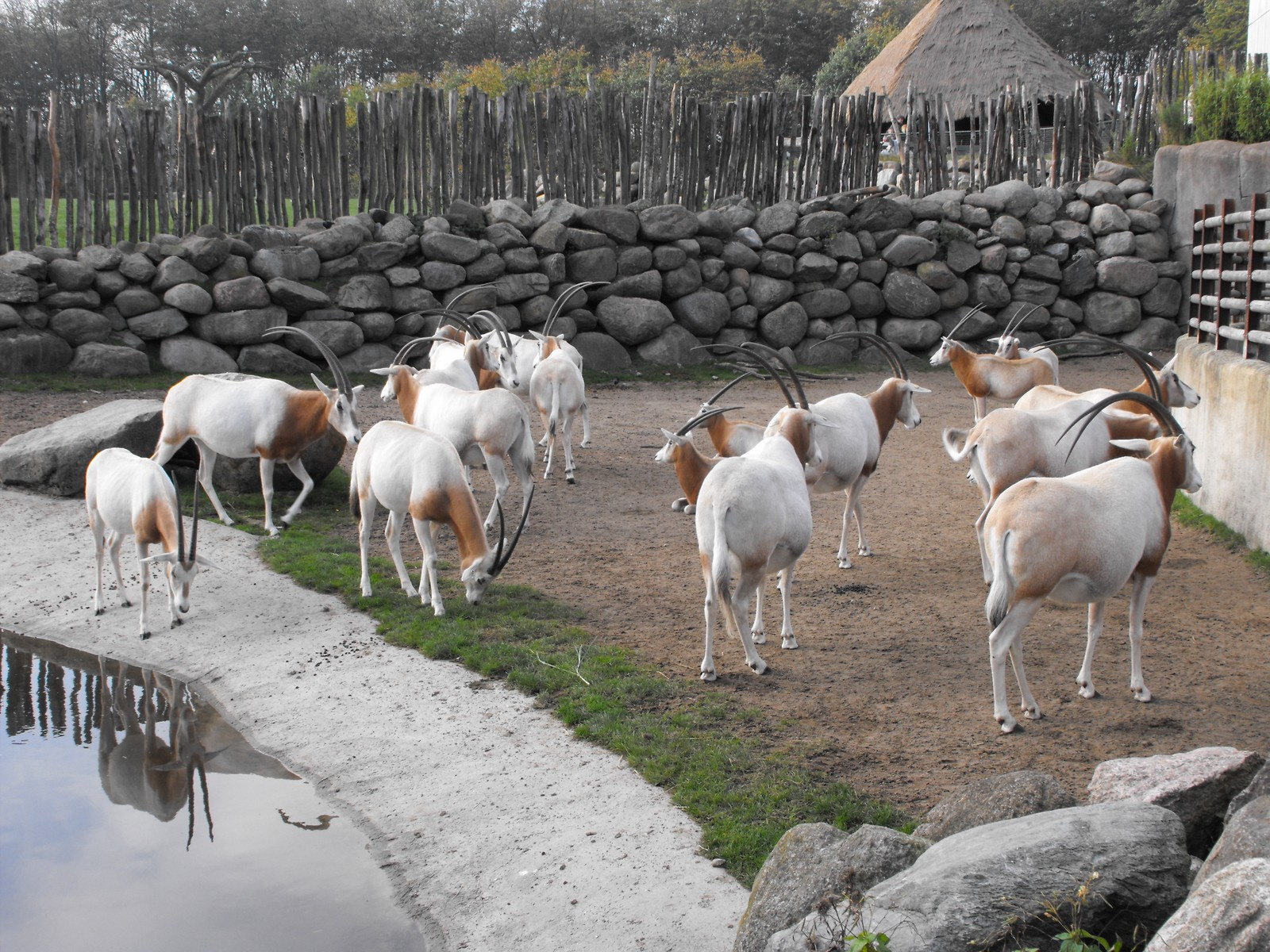 Aalborg állatkert Ålborg Zoo