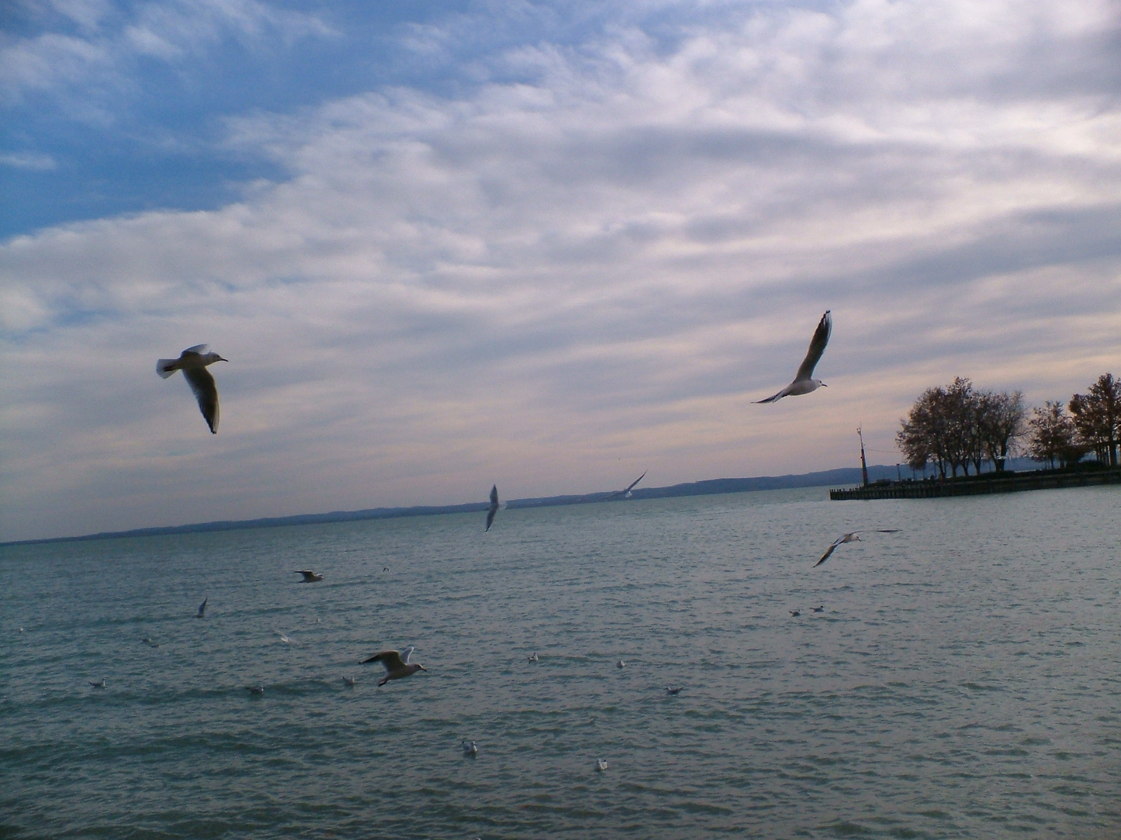 2009 1130Image0038