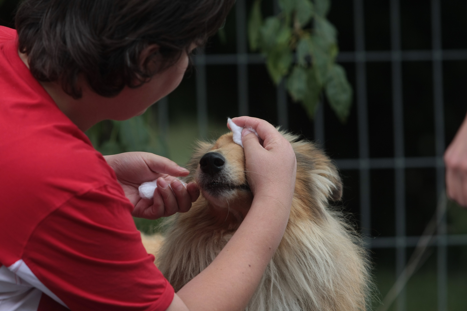 Dávid/Lucky