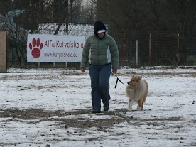 Dávid/Lucky