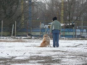 Dávid/Lucky