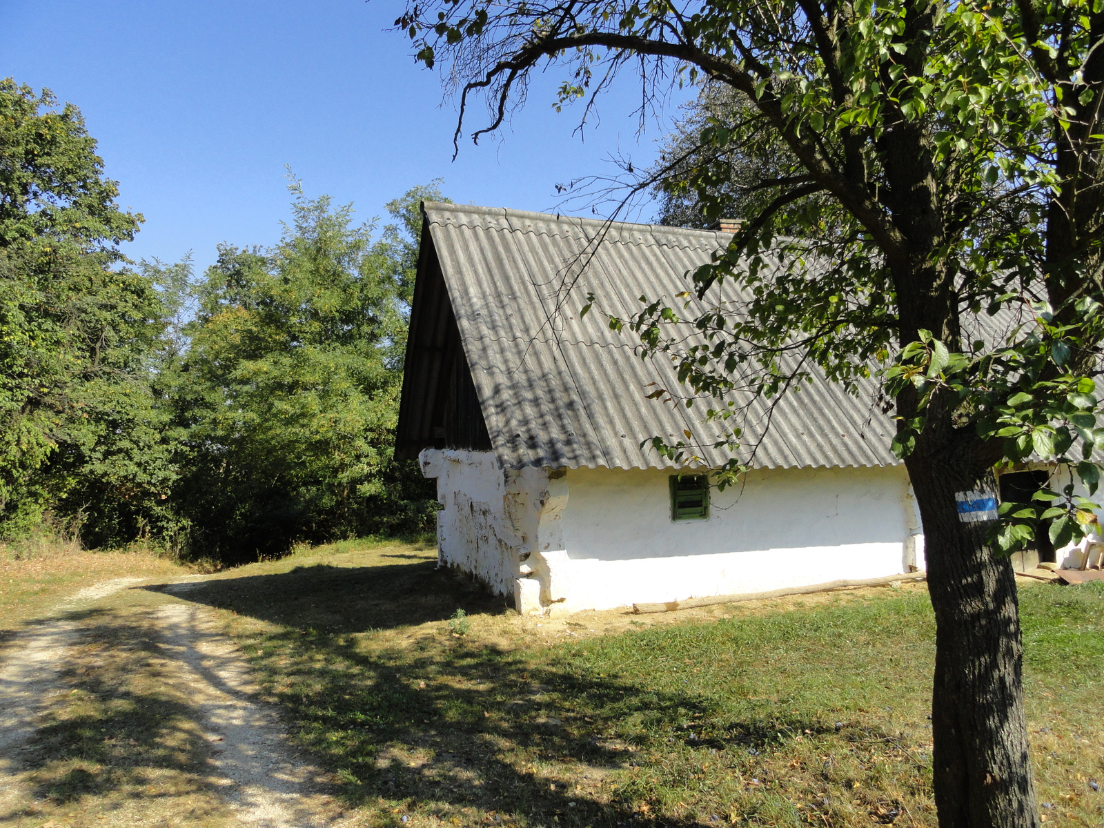 2.nap-06.Pincék Nagymizdó felé