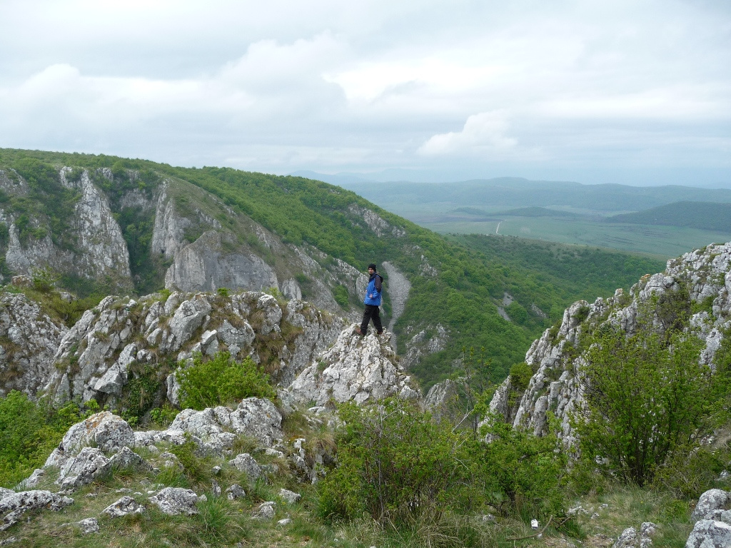 Erdely 2011 C Tordai hasadek 052