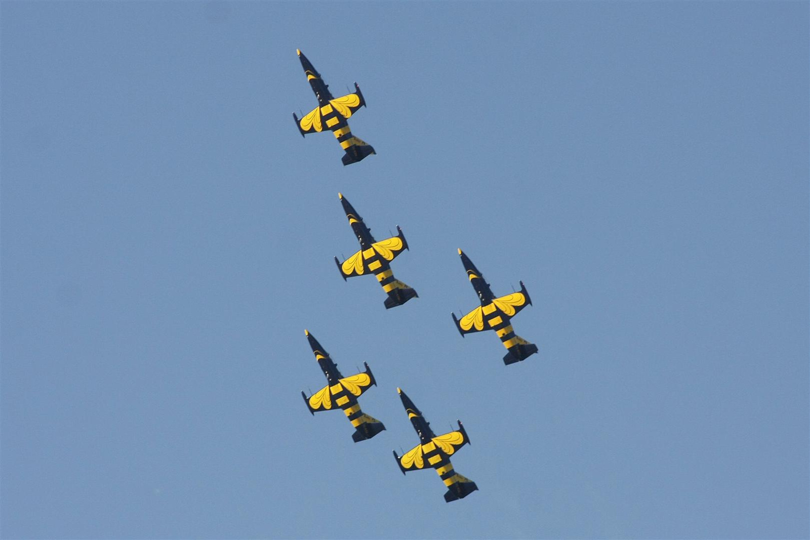 Kecskemét repülőnap 2013 - Baltic Bees L-39 Lettország