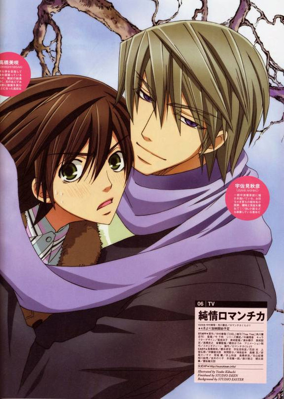 Junjou Romantica (5)