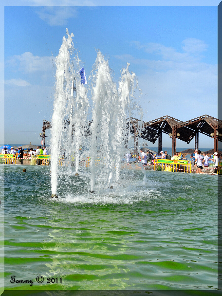 Marathon  Tel Aviv 2011