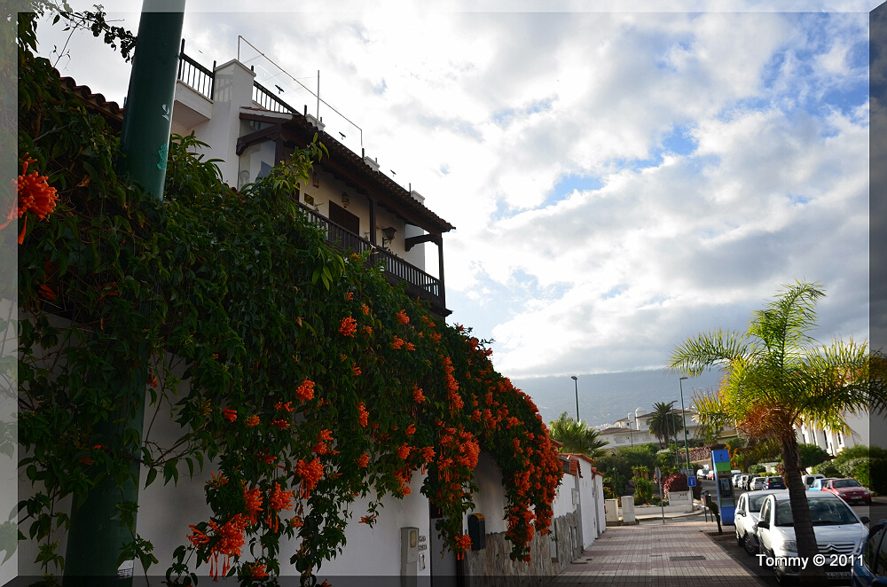 2011 1220 113843AA - Tenerife-9