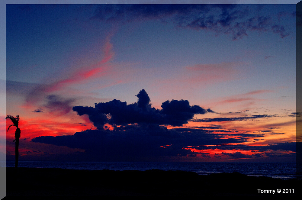 2011 1220 113843AA - Tenerife-19