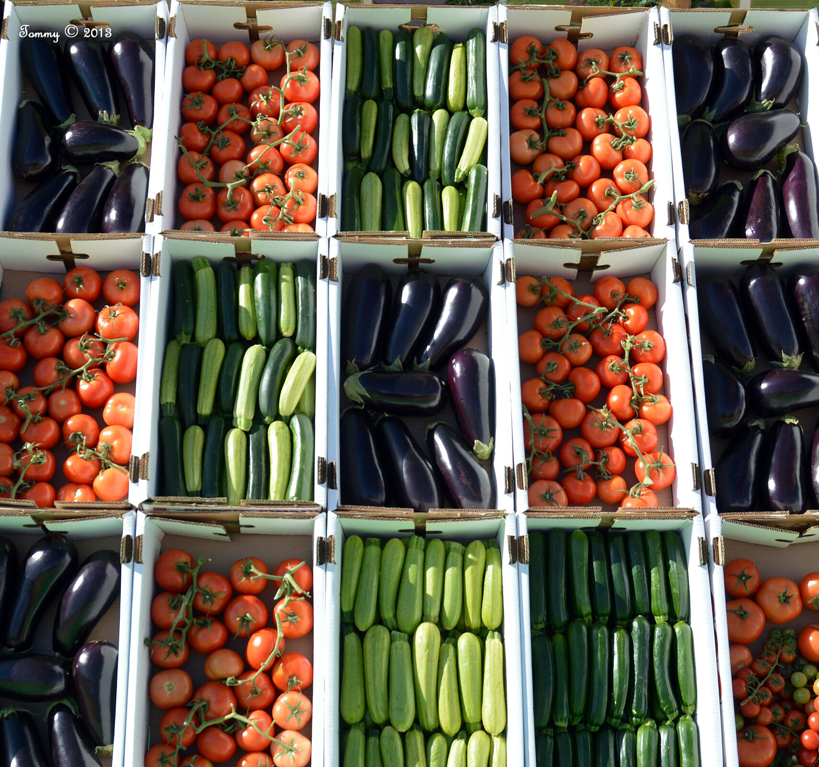 Agricultural Exhibition (2)