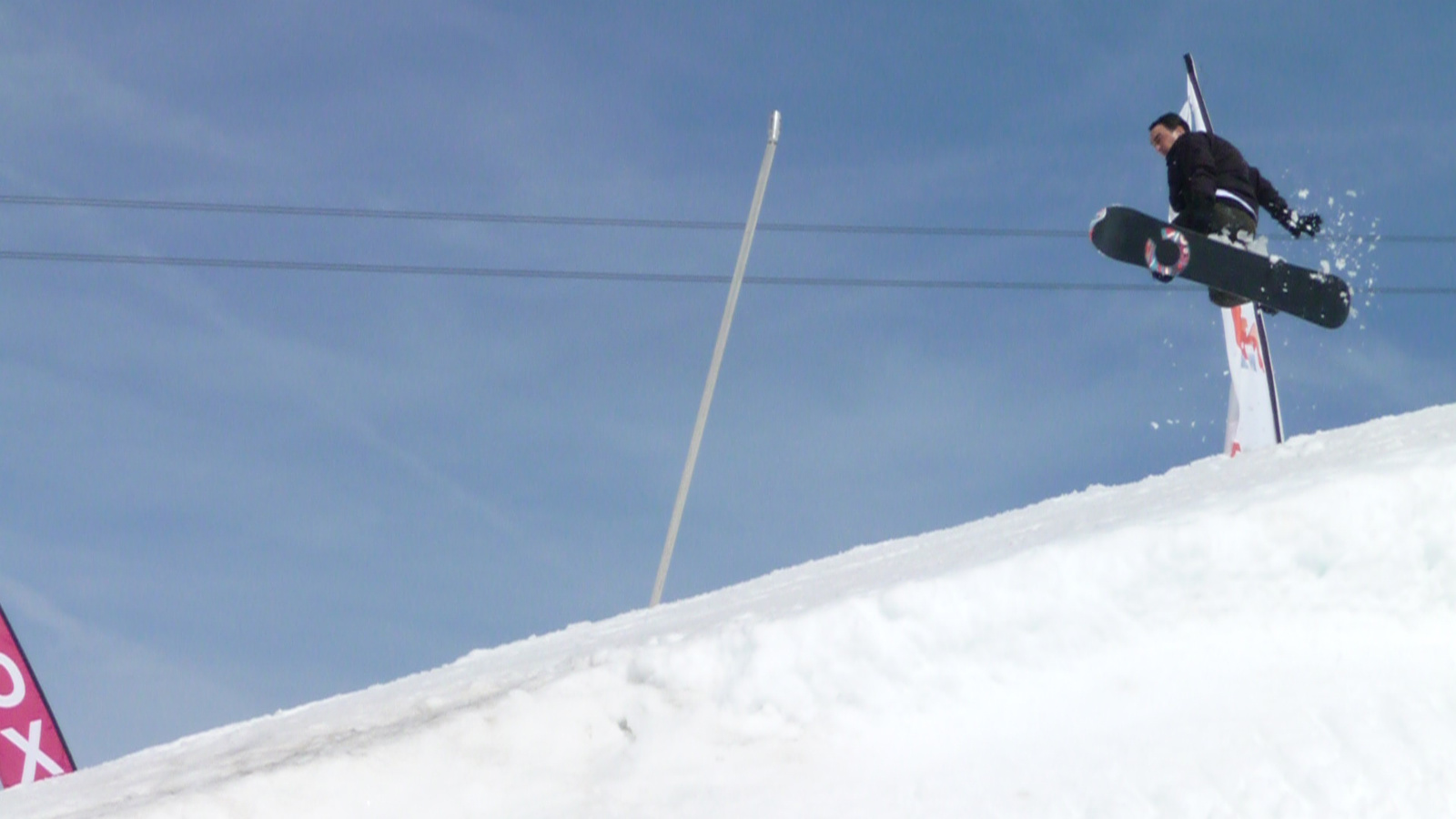 Bird on the wire