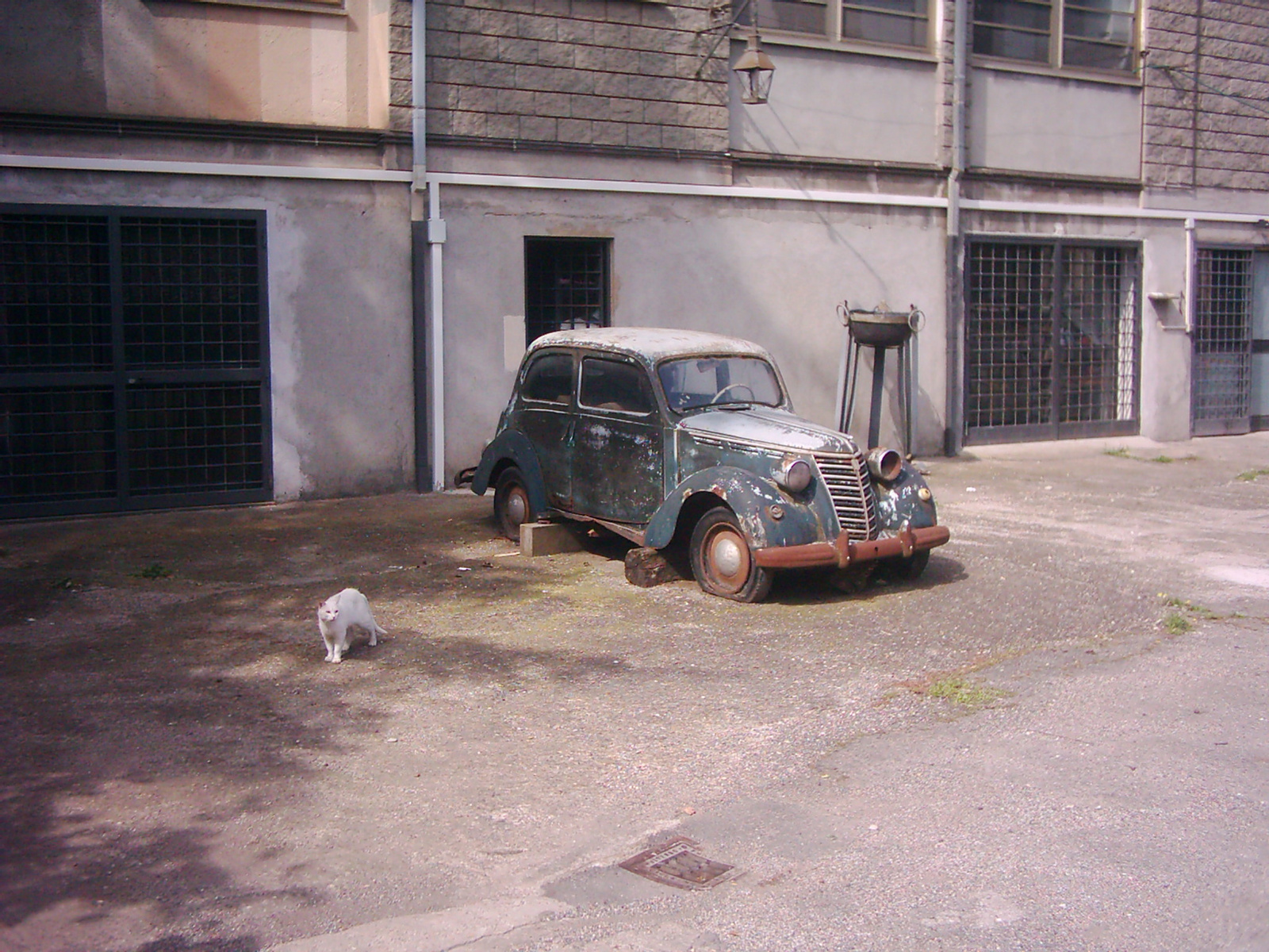 Fiat0