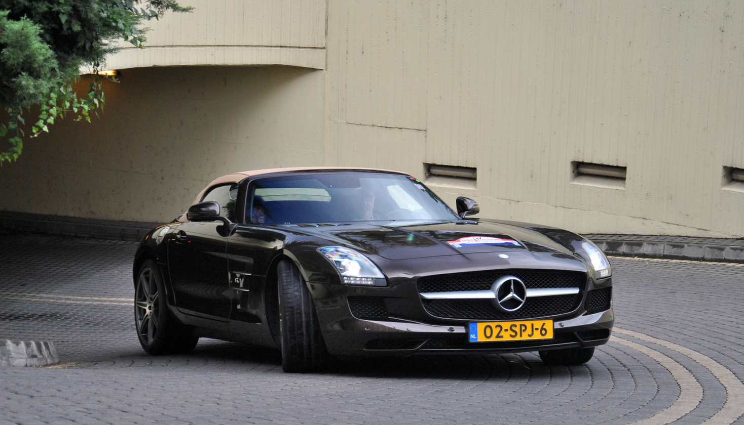 Mercedes-Benz SLS AMG Roadster