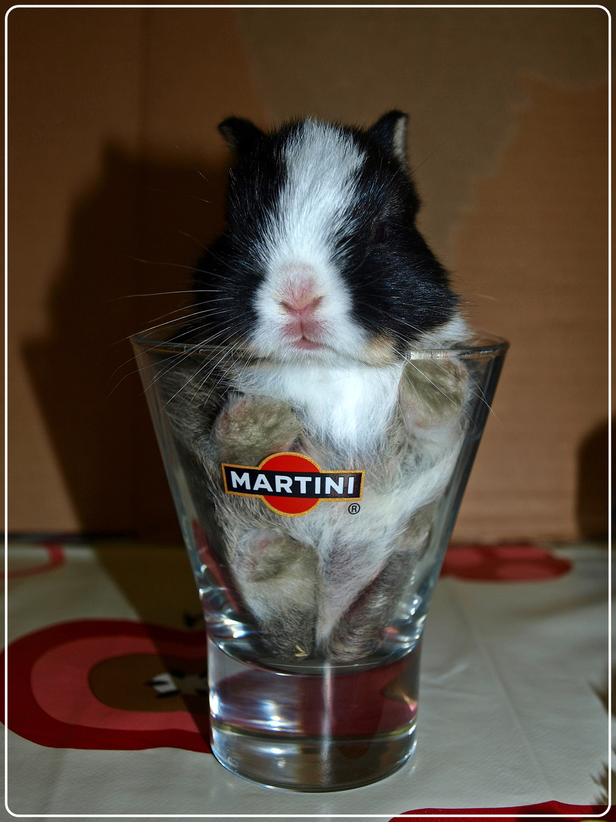 Martiniii megint! :)