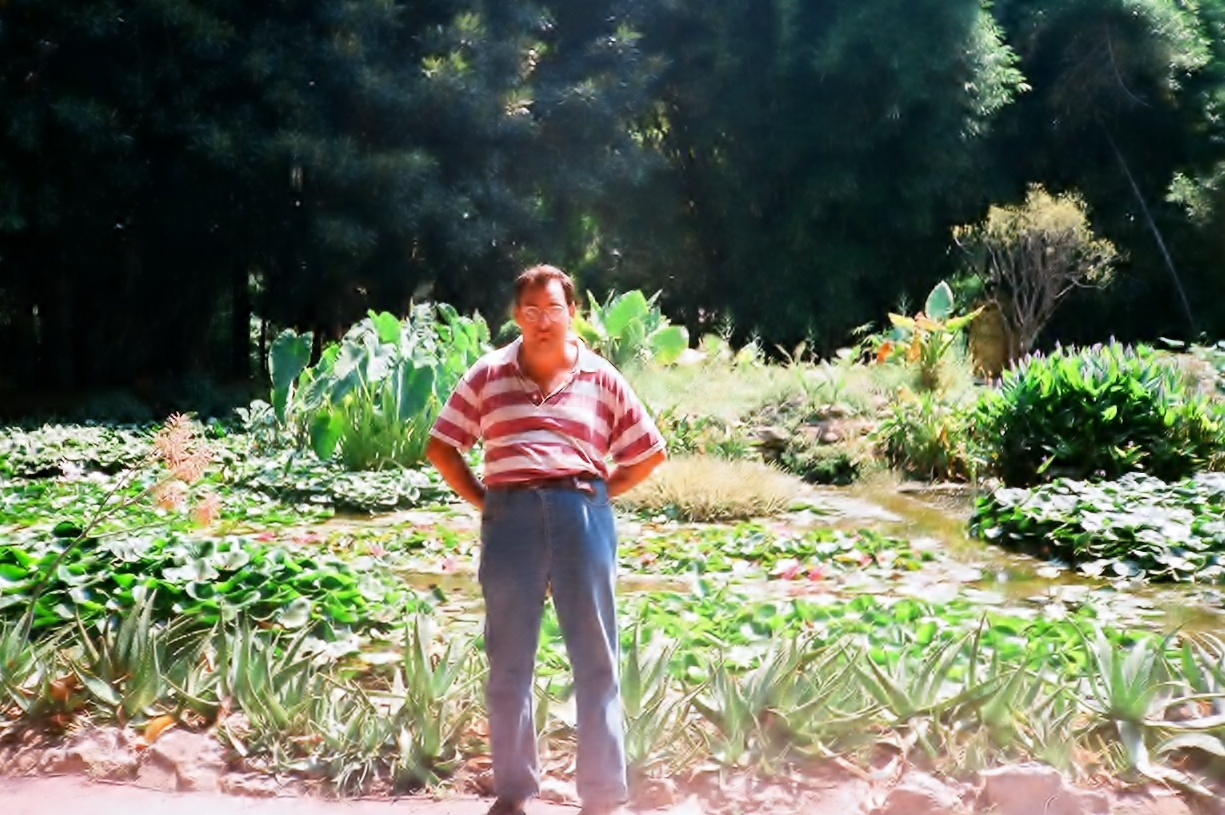 botanikus kert, palermo