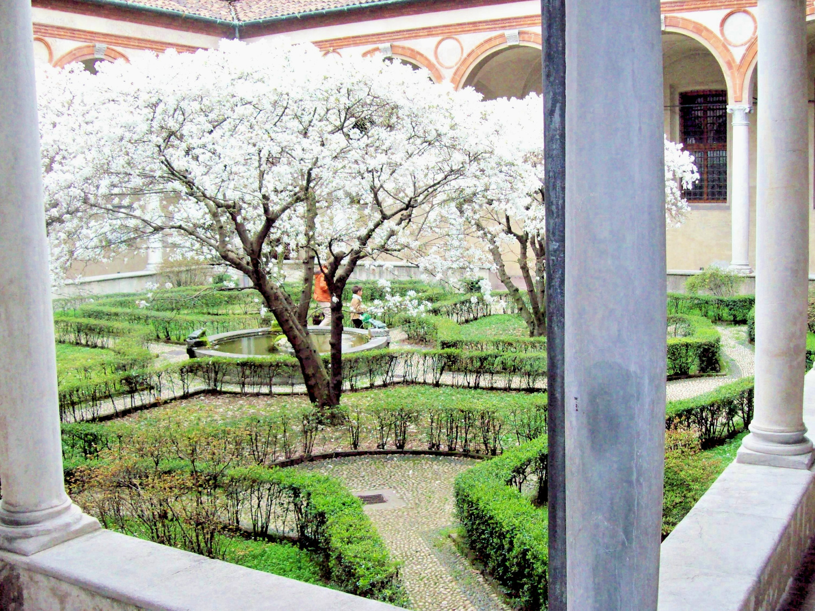 santa maria delle grazie1