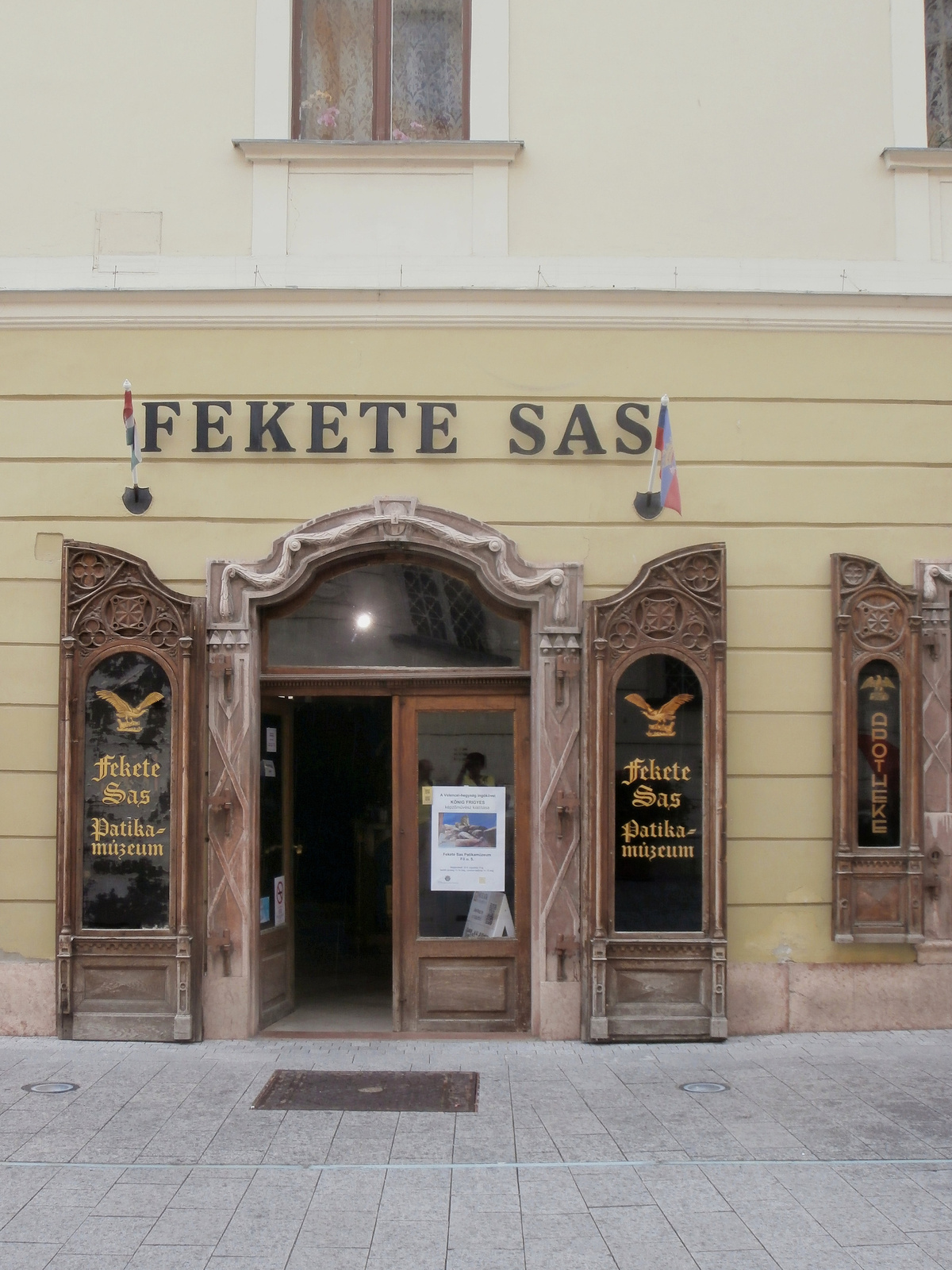 fekete sas