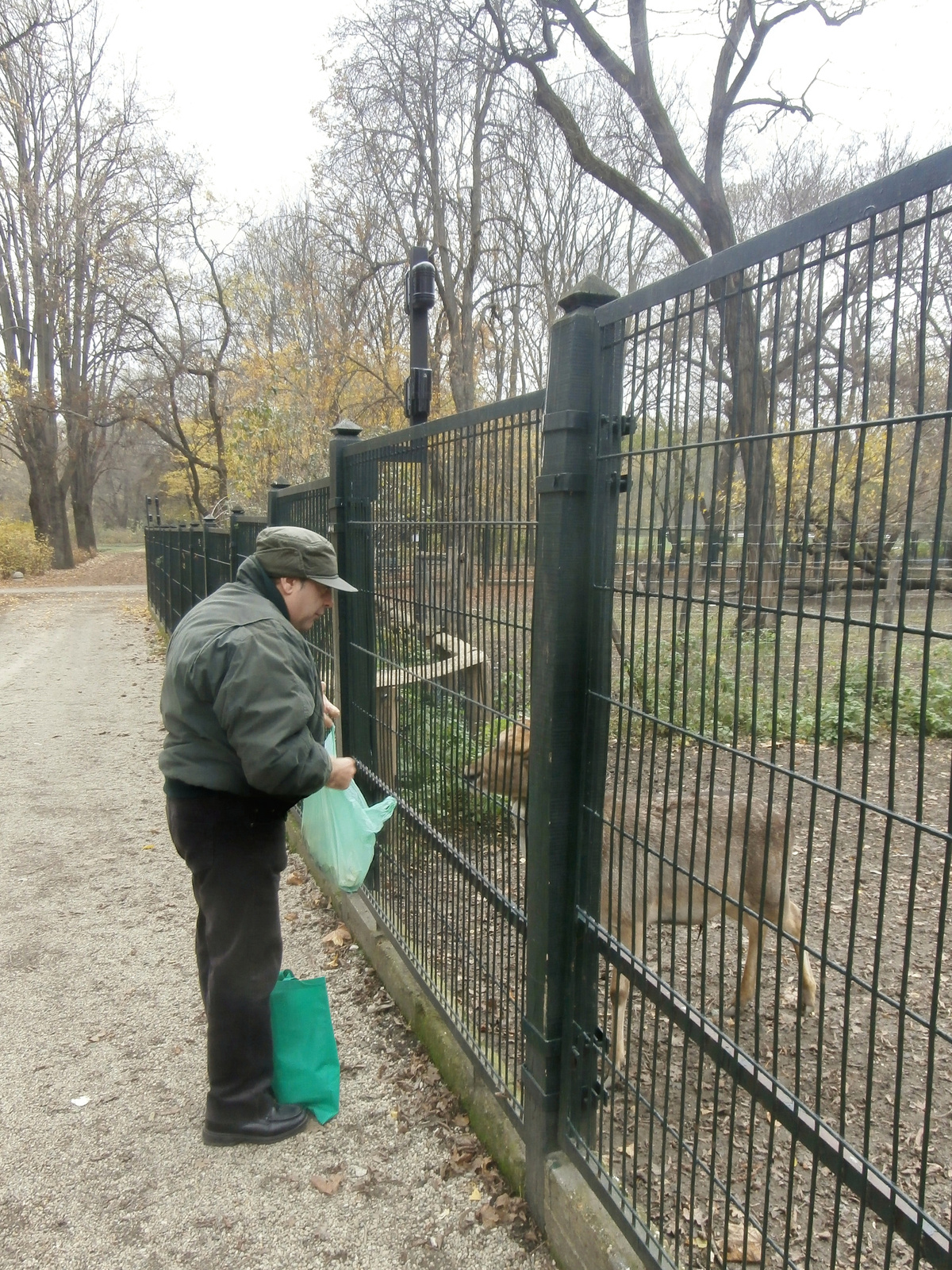 meglátogattuk a szarvasokat