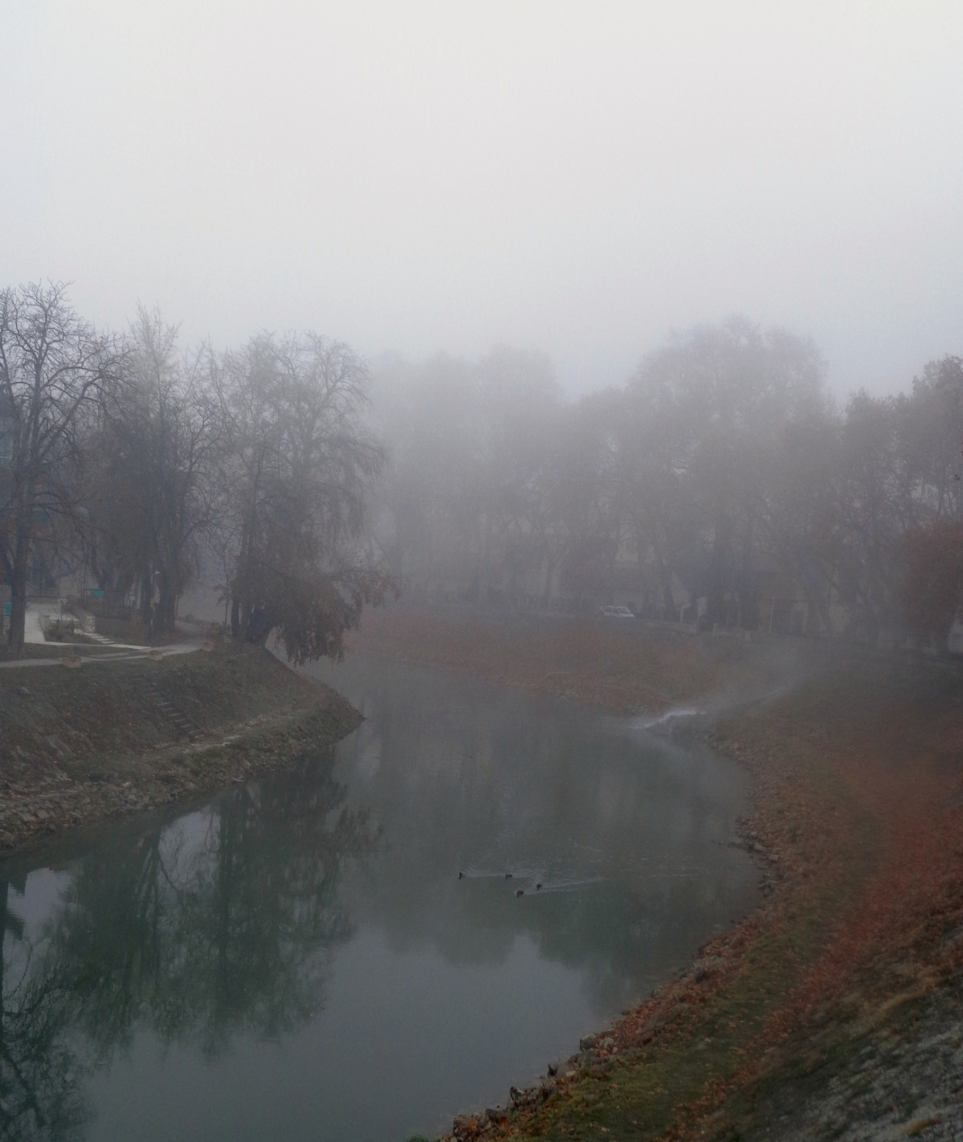esztergomi köd