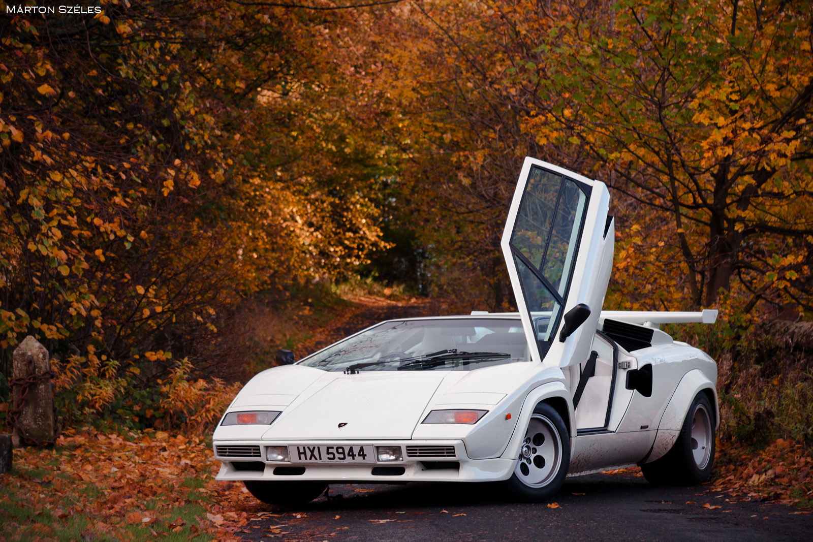 Lamborghini Countach QV