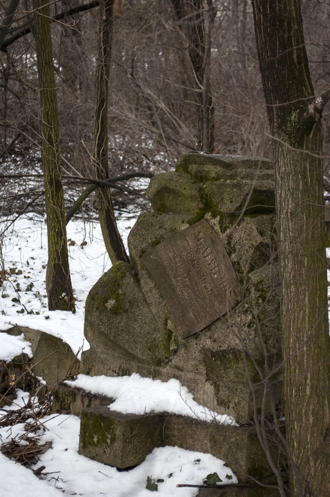 Régi albertfalvai temető - fotó: hatja