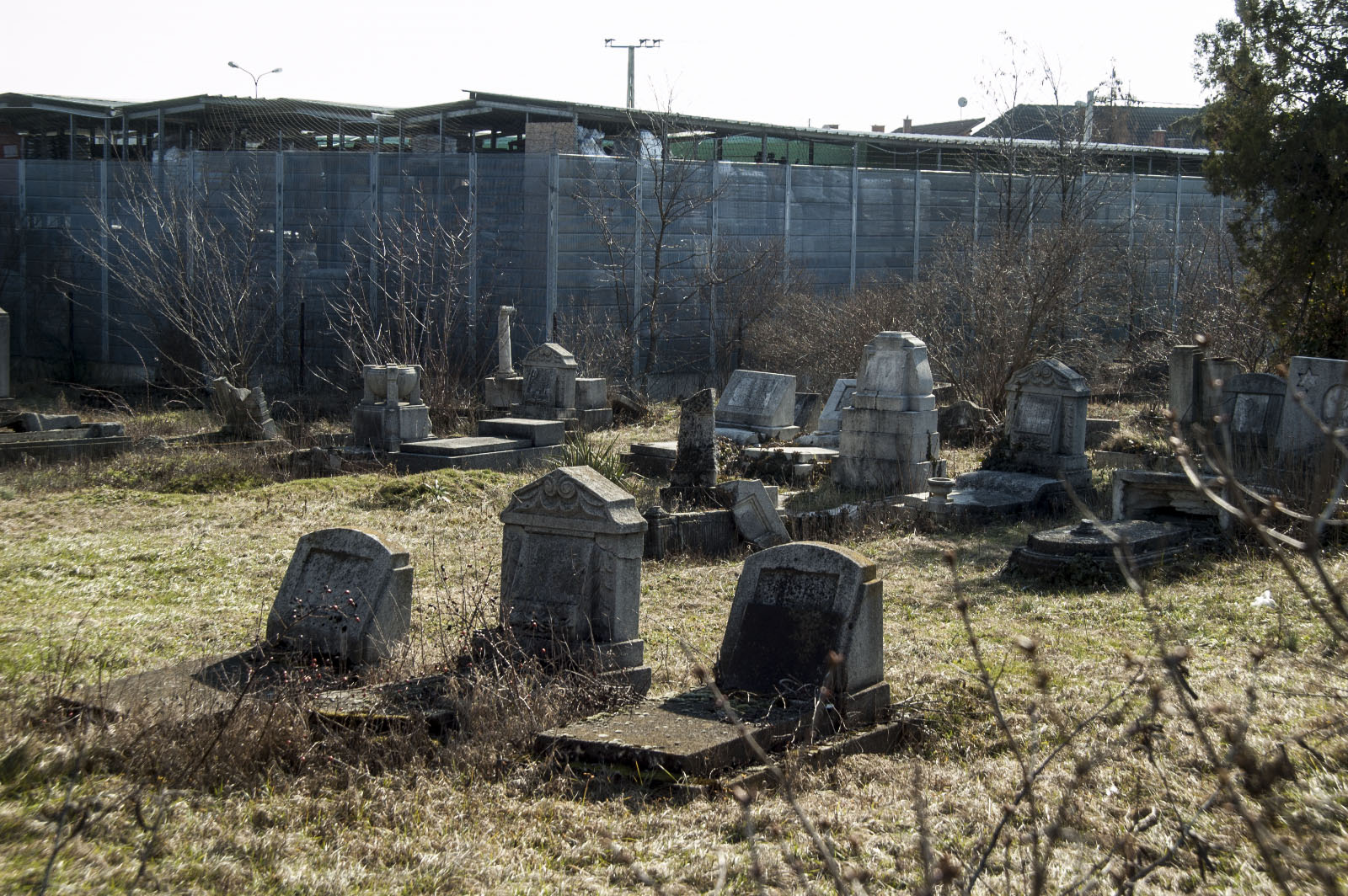 Sallai úti zsidó temető - fotó: hatja