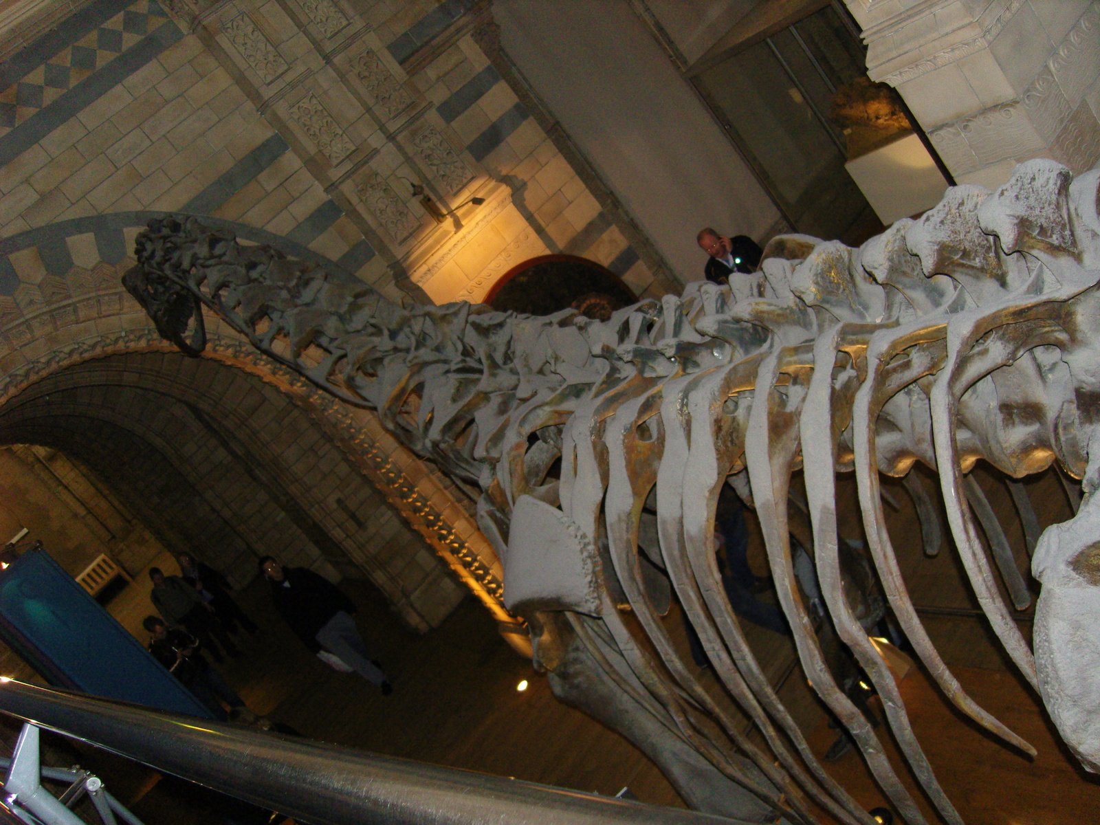 Natural History Museum