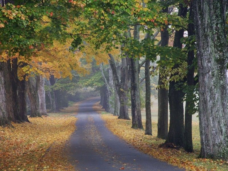 Journey into Fall, Louisville, Kentucky