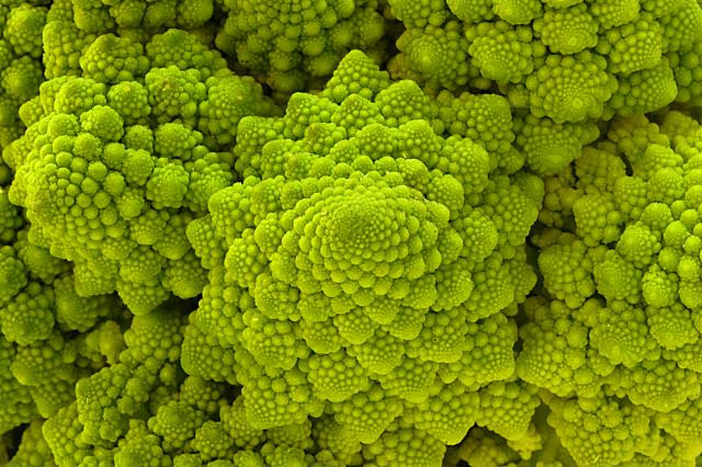 fractal food 1