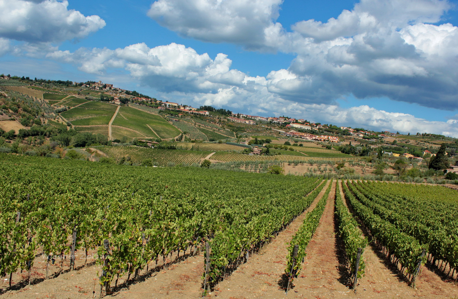 Panzano in Chianti