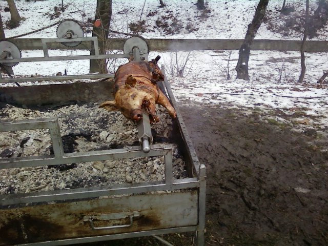 Mangalica fesztivál