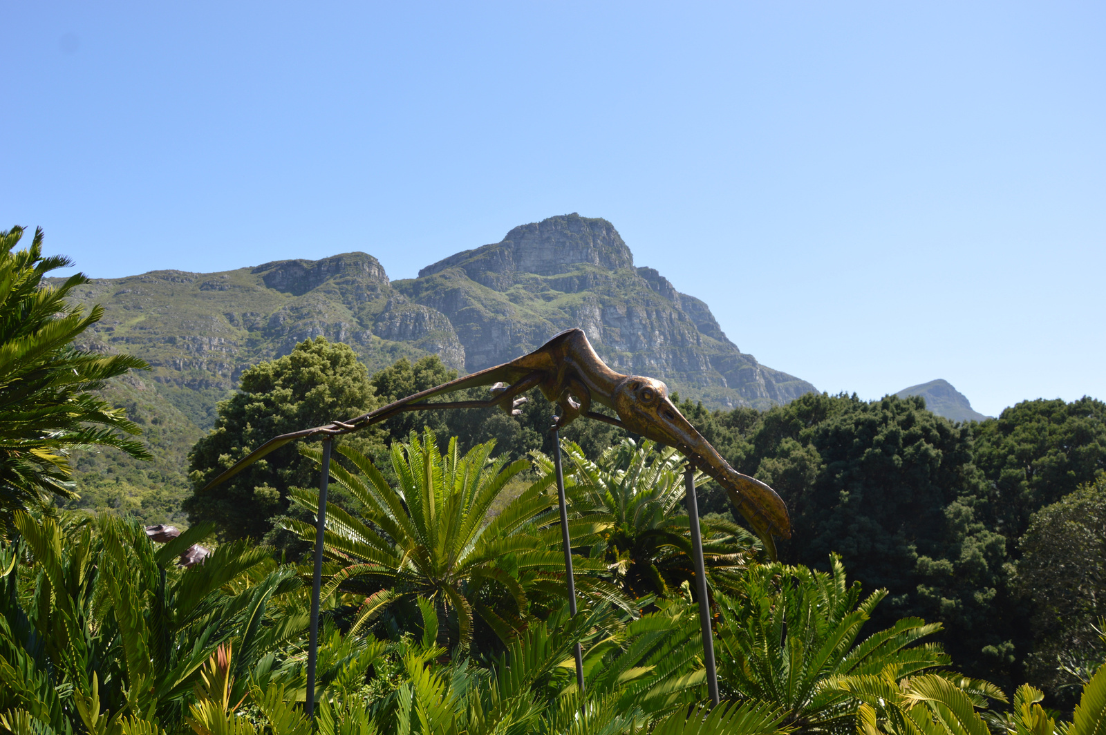 Kirstenbosch Ujabb dinoszaurusz szobor