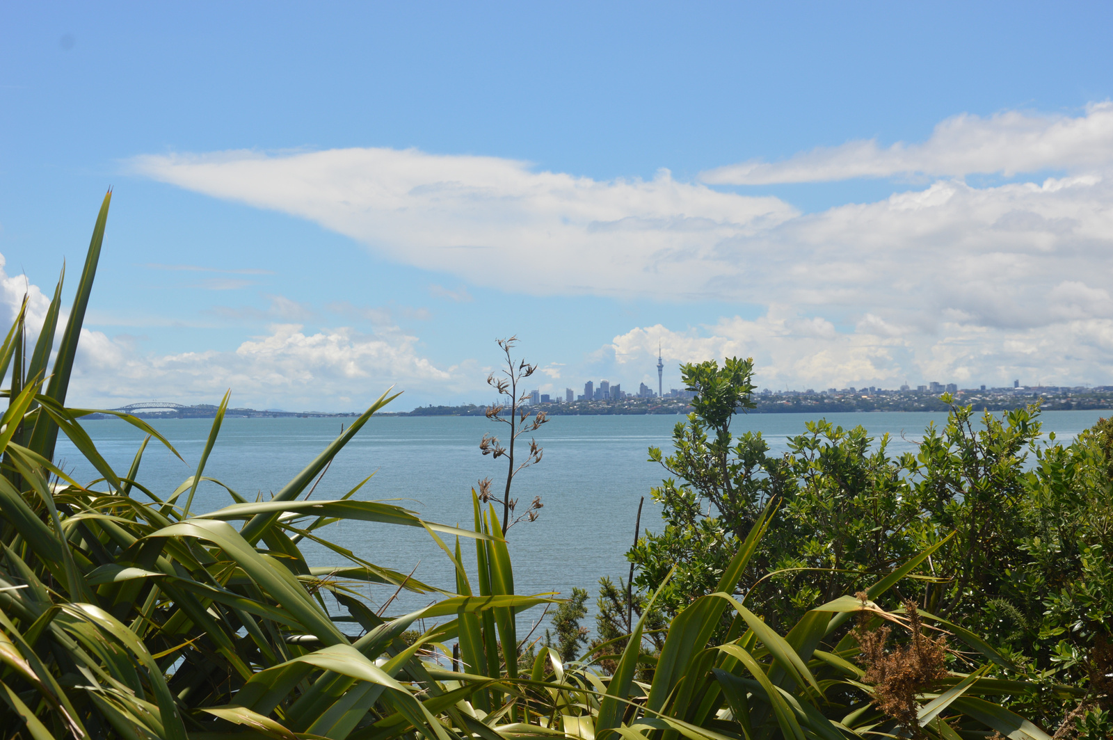 Auckland Te Atatu 04