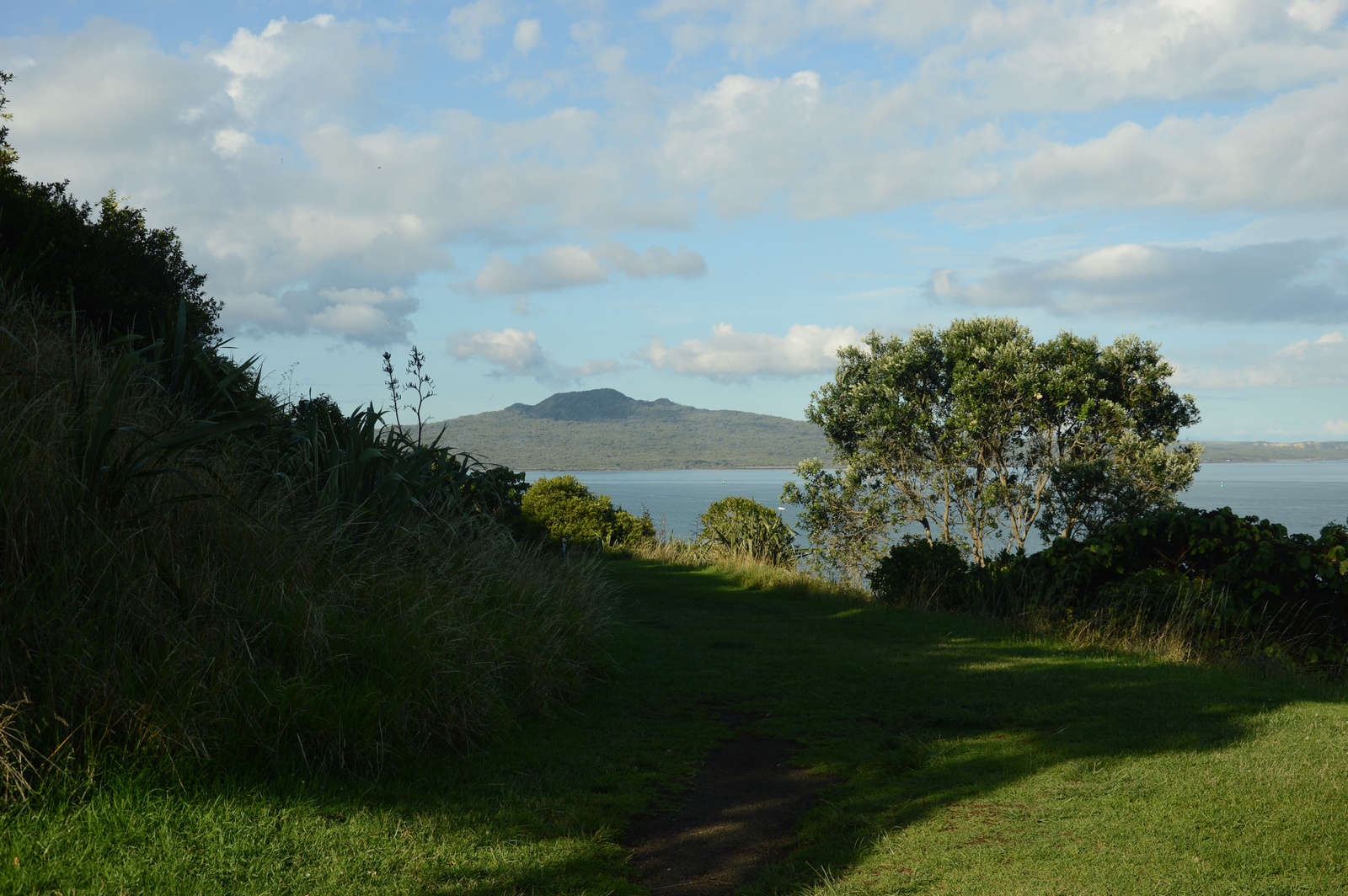 Auckland Devonport táj