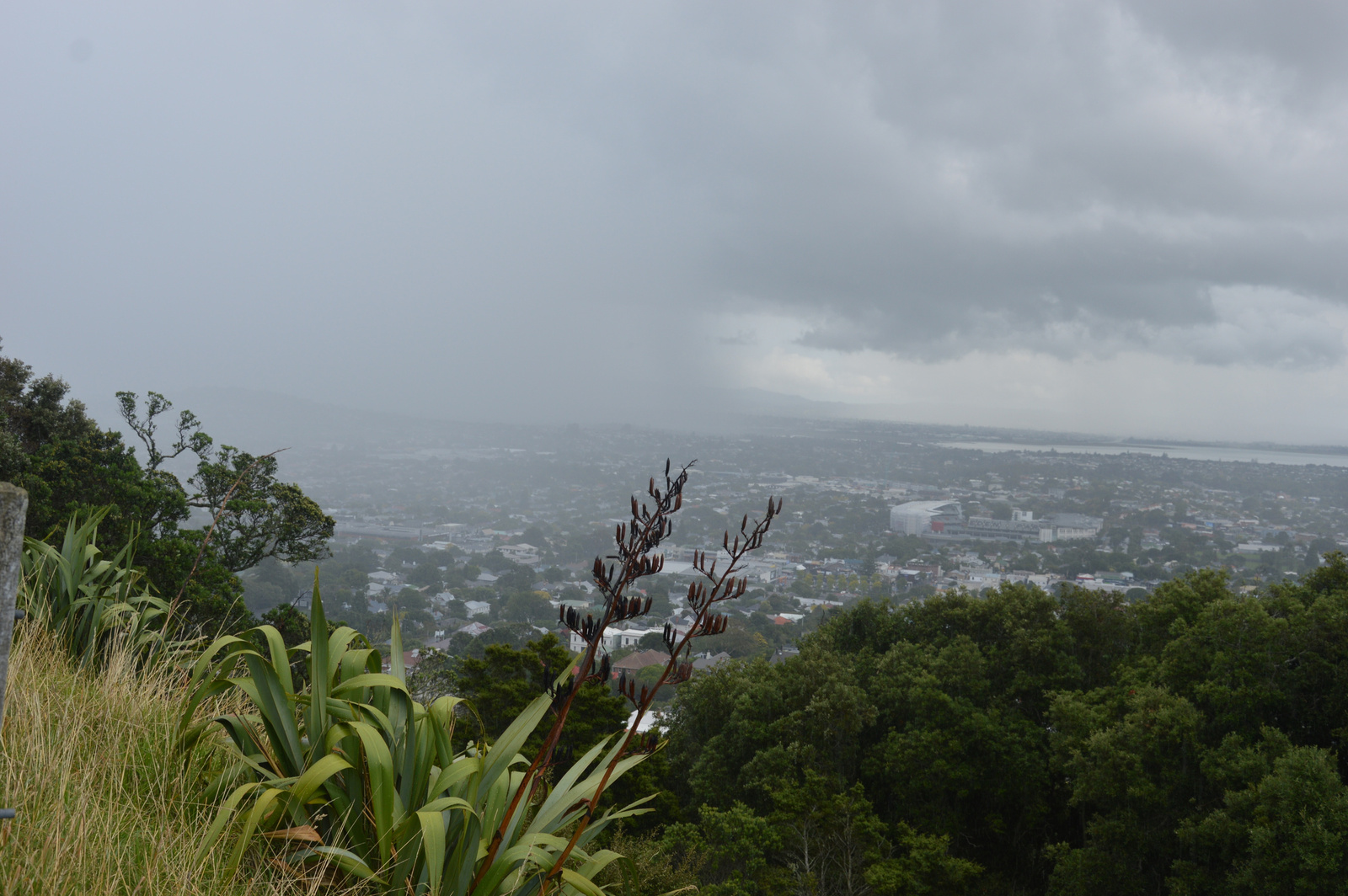 Auckland Mount Eden jön az eső