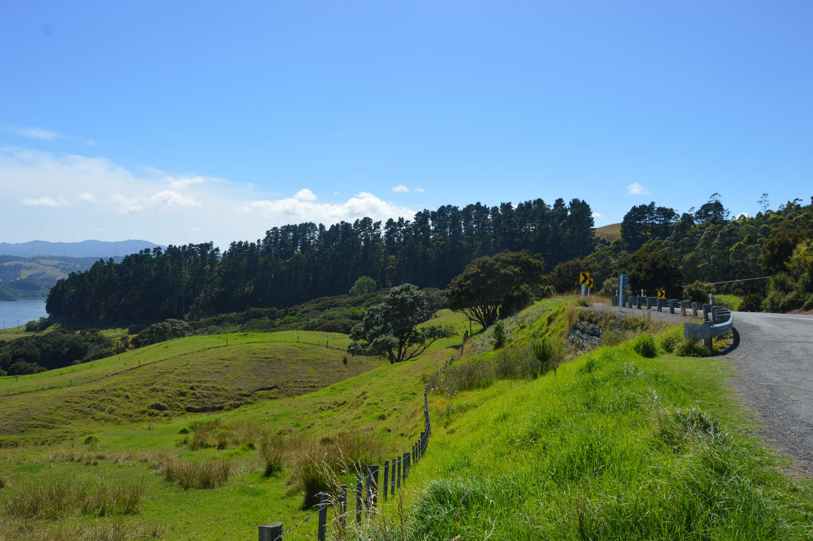 Manaia Road kilátóhely 07