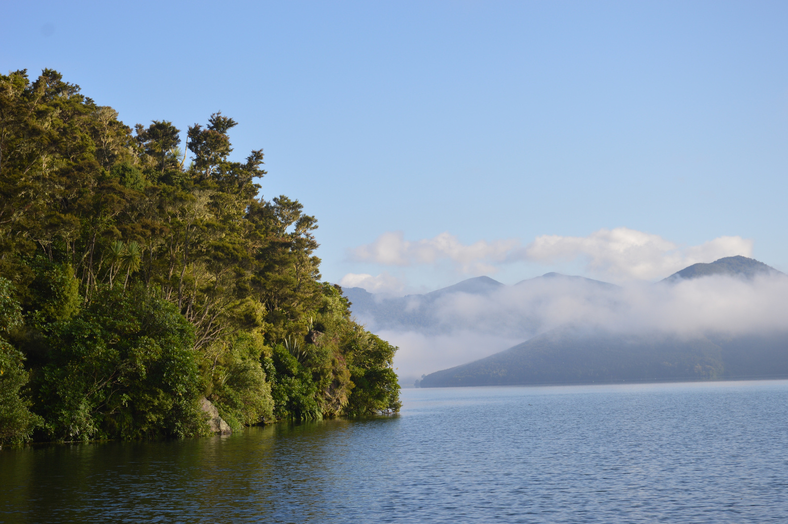Tongariro Rotoraira-tó partján 02