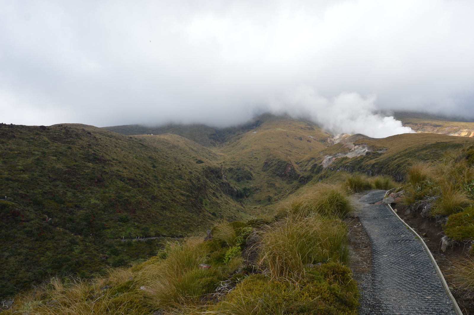 Tongariro Mély völgyön keresztül